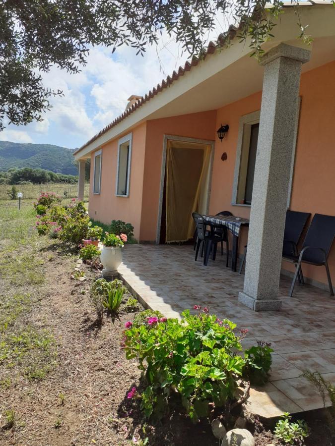 Agriturismo Gli Olivastri -Appartamento Bel Vedere Con Piscina ,Solarium E Vista Mare,Climatizzatore ,Wifi Aglientu Dış mekan fotoğraf
